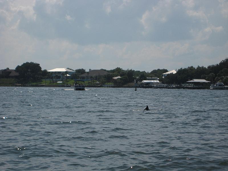 Picture 029